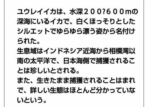 8nsopmdsfyex8tjb7uvu_920_667-2da02fc7.jpg