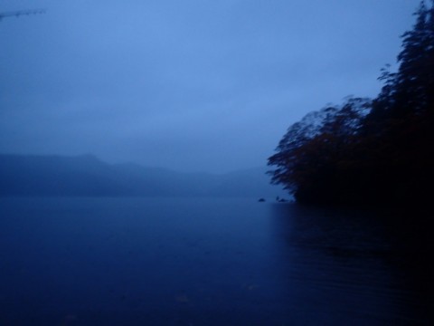 8nutc93ryyrh435hy65n_480_480-9cb9c775.jpg