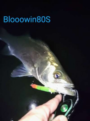 8o545754swejxfutwcvm_480_480-85c8e581.jpg
