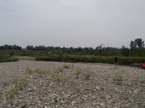 8or6d7ekzoo8h2bxvzwj_480_480-828944e5.jpg