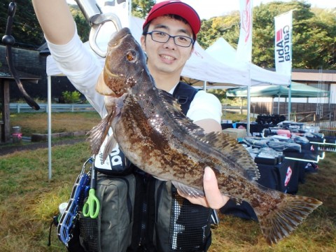 8orx2x2gx65togk3beny_480_480-7fca649f.jpg