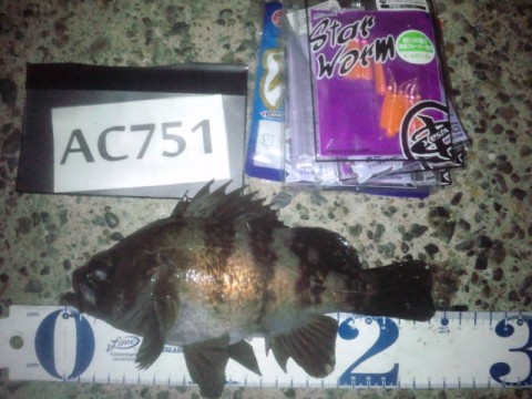 8out8fzwf2xtodmdpix5_480_480-ad932d75.jpg