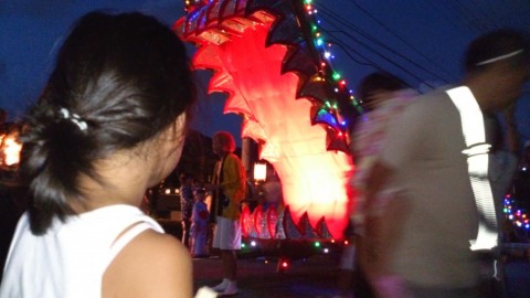8p5e9ceghriv4nc6wh99_480_480-78417afd.jpg