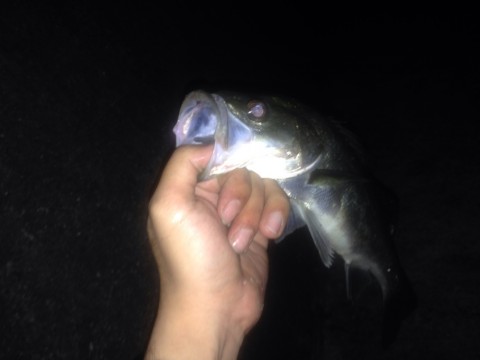 8p92dk5p28pwde7puhh8_920_690-0bb136dc.jpg