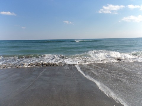 8p96nj9xj6seapgjbrrp_480_480-c53319d1.jpg