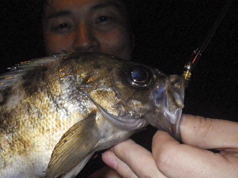 8r99rx3p7crhazts38sk_480_480-a8b639b8.jpg