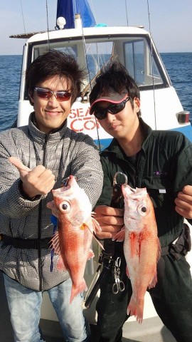 8rbv68cgy7ahy37r9vng_480_480-acc2da90.jpg