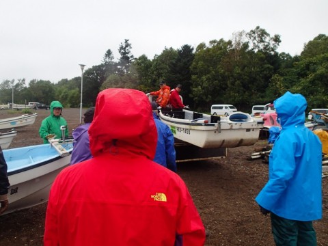 8ruywdinrhc2vh382g2n_480_480-7e09f9b4.jpg