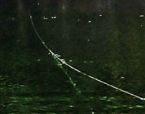 8s849kzvmjrwbznua243_480_480-53b77389.jpg