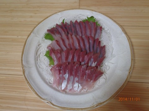 8sd2vhjn2dmaobc8nzpd_480_480-fbc18726.jpg