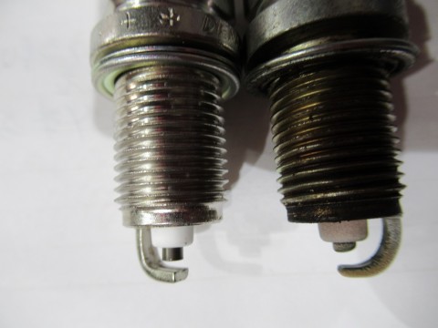 8skr5o556mwctwpjovk6_480_480-69de82c0.jpg