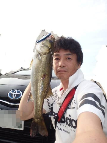 8spjpkokckhte3bftr7z_480_480-271b04fa.jpg