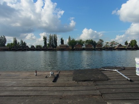 8sxvi2hjkpox4xh92jmj_480_480-5195d0e6.jpg
