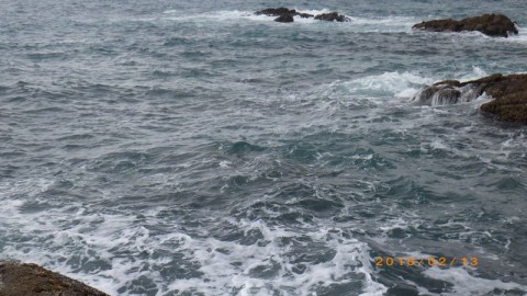 8t25xvdxufihj7zjapup_480_480-a39cc7d9.jpg