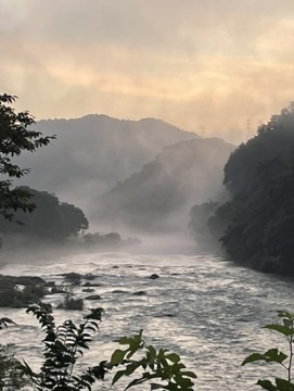 8t6ykdx83o6tzhvgznph_361_480-f1c40c94.jpg