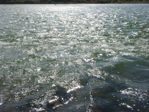 8tdhbyzhcmevhig7og59_480_480-e84a2296.jpg