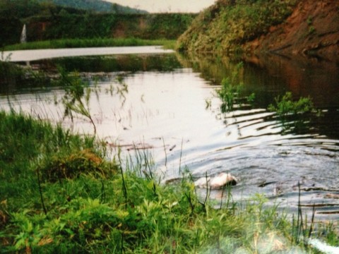 8tmrviyswojvwhrdfkyd_920_690-2906ec5d.jpg