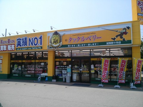 8tmvpr3ixsf7y9wf2y2v_480_480-e05fdca0.jpg