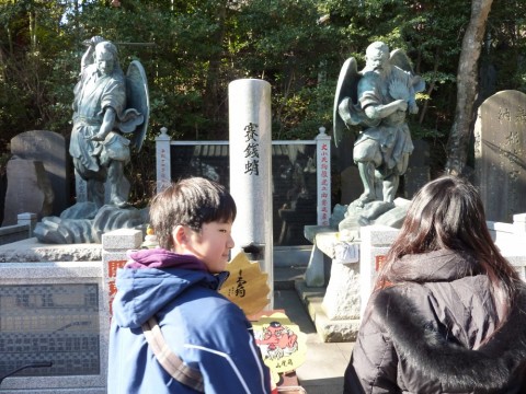 8tszauikuufb8kwxfidb_480_480-f2b245dd.jpg