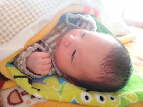 8u4fmmbo74hyx6i3yxjp_480_480-b372537b.jpg