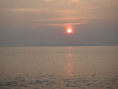 8u9fuhx697es2artsrhh_480_480-b134edaf.jpg
