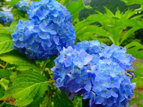 8u9fyxz9g5c4yujmbzub_480_480-c8e330a0.jpg