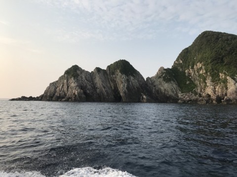 8vhh7ji3ukjfkjxyb897_480_480-4ff958db.jpg