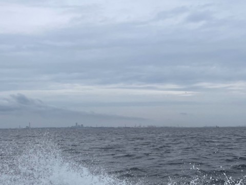 8vk8db5sdxxmi7s7tg36_480_480-35384ab7.jpg