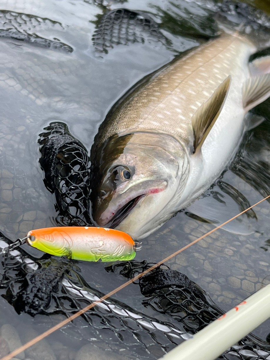 ロデオクラフト　ジャケット Mサイズ Pazdesign エリアトラウト Pazdesign STAFF BLOG】 新作レインウェアご紹介！！ その2