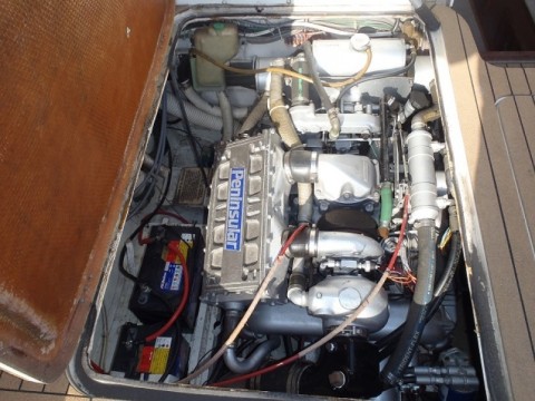 8vwtczfe8mawg95dd47c_480_480-243268a2.jpg
