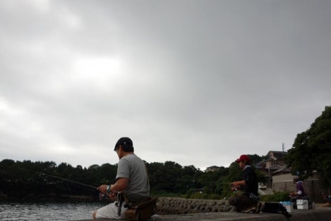 8w65femudcjc6c8bm7jn_480_480-ecd52eeb.jpg