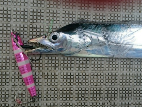 8w8omwi9ofu5eei8czrx_920_690-09394afb.jpg