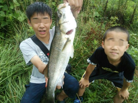 8wg9554zz73ib6vjatbb_920_690-e987c384.jpg