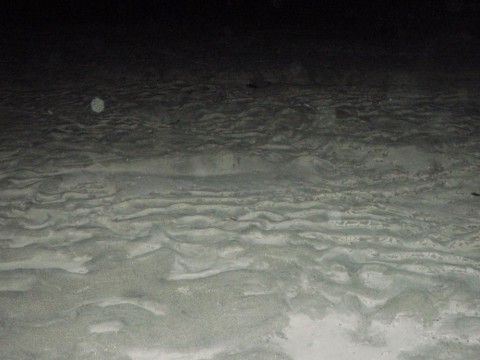 8whmhjkrsspn9yf5bphf_480_480-0ebc727b.jpg