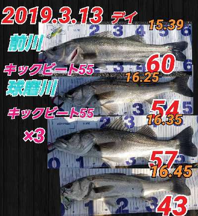 8wipb554mu2jhmytebgd-c3107c5d.jpg