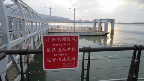 8wjkoax8x9vyy42cdugj_480_480-1a3d9338.jpg