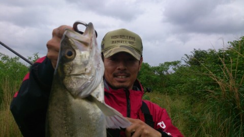 8wka7urkjiuhi2jhx2at_920_517-778f0695.jpg