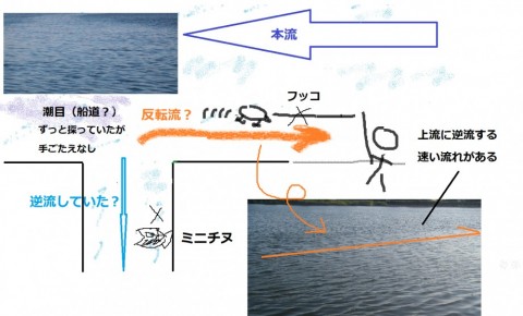 8x4wkvpzun2uu3ougkku_480_480-deb6d5e5.jpg