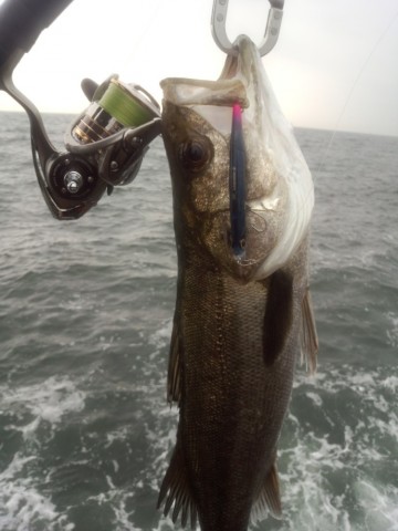 8x5p43s3yo346e2pdrhs_690_920-9973cd92.jpg