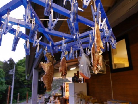 8xuzu58tprm9gkkv9fds_480_480-a0c62ab0.jpg