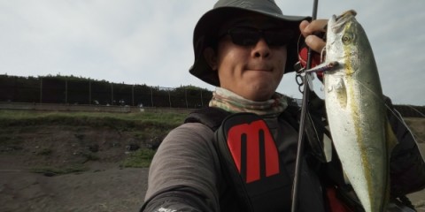 BC-26でワカシをキャッチ！