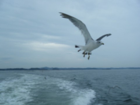 8y425dffurupb2gb3dbm_920_690-176157dc.jpg