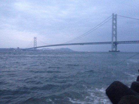 8yhvij2xe954d6apzwy9_480_480-d7fc145f.jpg