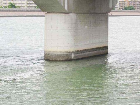 8yie26k3b5odbk3xzui7_480_360-659202ab.jpg