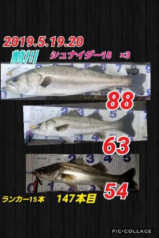 8ykcau7x429y7j3jotmx_480_480-e638723b.jpg
