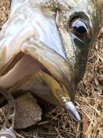 8ymhmk5j68865448zup9_690_920-99781cc0.jpg