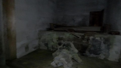 8z88vefyayjbj7i3gynp_480_480-ee69a0ec.jpg