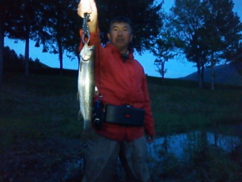 8zhi7avjsu97u2w7s4yy_640_480-4ef754a1.jpg