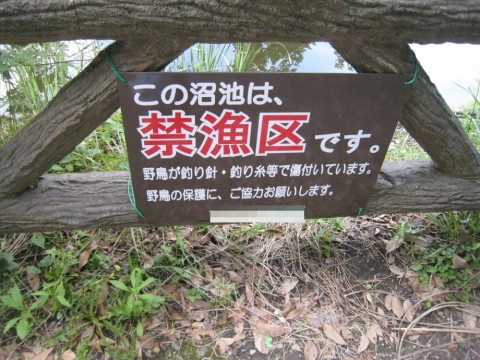 8zj2yv6u7bua4r8u9pxu_480_480-65cc8218.jpg