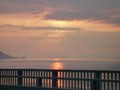 8zj3jyjmtbh6nw2odvhz_480_480-f074747d.jpg
